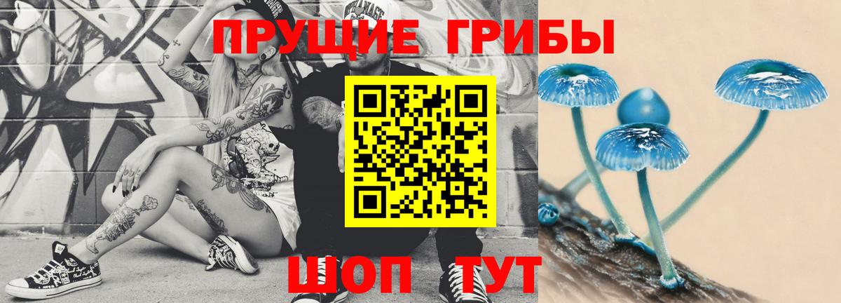 Псилоцибиновые грибы прущие грибы Богородск