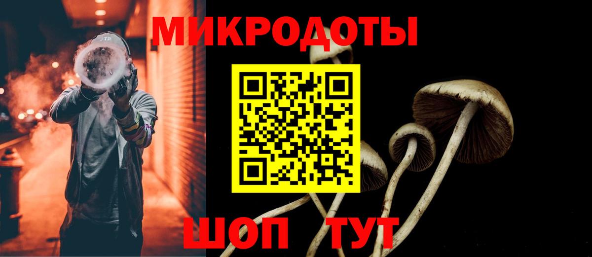 Богородск  Галлюциногенные грибы GOLDEN TEACHER  Вход с VPN 